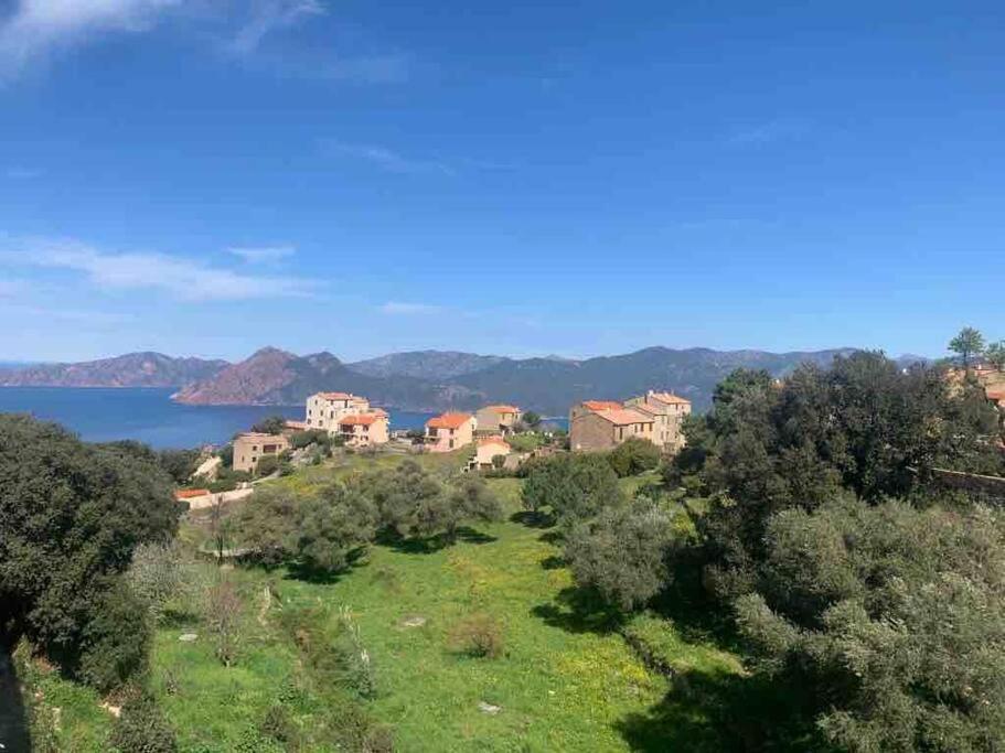 Appartement De Standing Piana ピアナ エクステリア 写真